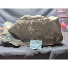 15lb 8oz Petrified Wood w/ Crystallization Specimen Natural Form picture