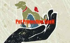 Pet Protection Spell picture