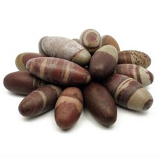 NATURAL - (1) Shiva Lingham Natural Tumbled Specimen with Description Card picture
