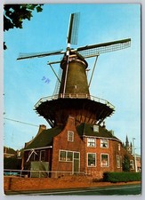 De Roos picture