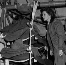 WW2 WWII Photo World War Two / 1773 picture