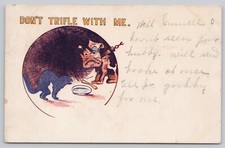 Don’t Trifle With Me Comic Bulldog Cat Humor  Postcard Undivided Back c1907 picture