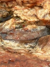Lake Superior Agate Fist Sized Specimen picture