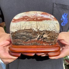 2lb Rare Natural Dendritic Limestone Chinese painting stone mineral specimen picture