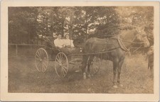 RPPC Central PA Women in Horse Buggy Carriage Jas Adelman Postcard c1910 picture