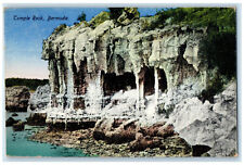 1931 View of Temple Rock Bermuda Vintage Posted The Herrington Co. Postcard picture