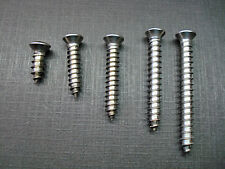 100pc GM #8 with #6 phillips oval head stainless trim screws Chevy Buick Pontiac picture
