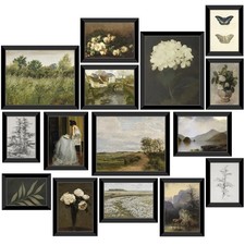 LANCHI95 Framed Vintage Wall Art Set of 15 Moody Antique Botanical Landscape picture