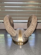 Viking Style Ram Horn Helmet Real Domestic Ram Horns Rustic Decor OOAK picture