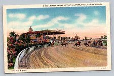 Winter Racing At Tropical Park Coral Gables Florida FL c1930 Vintage Postcard picture