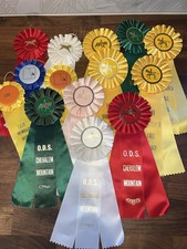 14 Different Vintage Horse & Pony Show 90s Rosette Ribbons Dressage Oregon WA picture
