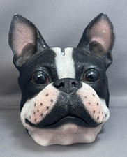 Boston Terrier Bland And White Dog Puppy Head Coin Bank Glossy Eyes 5
