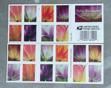 100 TOTAL 2023 USPS 5 SHEETS OF 20 FIRST CLASS LETTER STAMPS TULIP BLOSSOMS picture