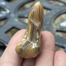 Louisiana Crowley Ridge Agate Polished Bayou Butterscotch Banded 35.2g picture
