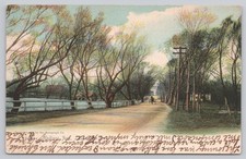 Lakewood NJ Madison Ave Tree Lined Lane Pond Horse Buggy 1907 Rotograph Postcard picture