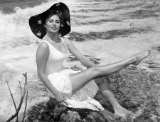 Vintage Photograph Sophia Loren Circa 1954 Rock River Hat Straw Flowers picture