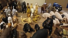 Huge 86-Piece Realistic Animal Figure Lot – Schleich, Safari Ltd, Mojo & More picture
