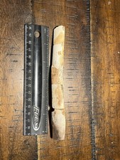 Thescelosaur Or Pachycephalosaur Rib Hell Creek Formation SD Dinosaur Fossil picture
