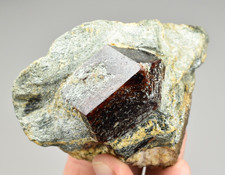 Almandine Garnet on Schist - Granatwand, Tyrol, Austria picture