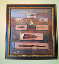 Upland Game Bird Feather Collection Framed Display w/ Turkey Feathers picture