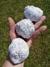 3 Large Nice Rough Blue Angelite 😇 Nodules Specimens Almost 3 Pounds W4 picture