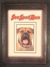 See Spot Run Original VINTAGE Movie Button Pinback picture