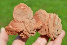 Barite var. Barite Rose 440 gr - Lake Thunderbird area, Norman, Oklahoma, USA picture
