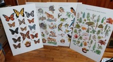 Vintage Smokey the Bear Posters Professionally Mounted USDA Forest Service - 4  picture