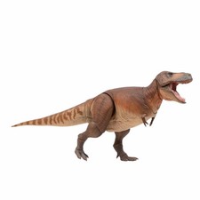Tyrannosaurus Articulated 