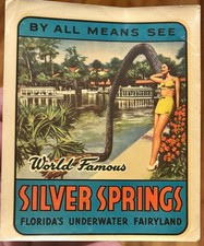 Vintage 1950s Silver Springs Florida Large 4.5 x 4 inch Souvenir Decal picture