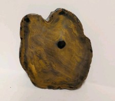 Petrified Wood Polished Slab 8 ounces 4