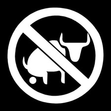 Funny No BS Decal Sticker White Die Cut Vinyl picture