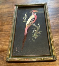 Vintage Feather Art Picture Bird in Wood Frame Made In Mexico 10x6 picture