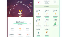 🔥Shiny Scorbunny (Dazzling Hopplo) Community Day Pokemon GO🔥 Mini PTC picture