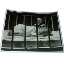 Vintage 1972 Tom Curran B&W Photo Andy's Vigil Raggedy Ann Baby Crib Exhibition picture