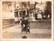 1921 Antique Photo Boy with Brindle Dog Boxer Type Pet Vintage Houses Landscape picture