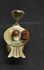 NARMADA LINGAM SHIVA WITH STAND & 5 MUKHI RUDRAKSHA SACRED HOLY AUSPICIOUS INDIA picture