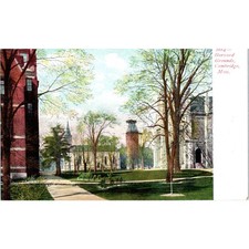 c1905 Harvard Grounds Cambridge MA Original Postcard PC9 picture