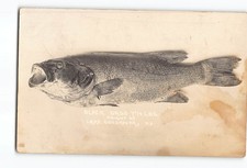 Lake Cossayuna New York NY RPPC Real Photo 1912 Black Bass 7 1/4 LBS picture