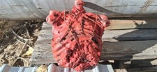WARNING ⚠️ NOT REAL New GORY SKELETON Guts barbedwiring halloween prop handm picture
