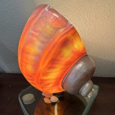MCM Sea Shell Lamp Loose Fit Design One of a Kind picture