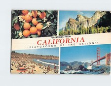 Postcard Views and Scenes in California USA picture