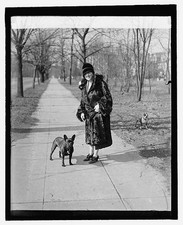 Photo:Mrs Mary Roberts Rinehart with Dogs, 1927 Park Portrait picture