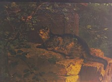 Victorian Oil Painting Wooden Panel Cat Stalking Birds Sparrows Framed Antique picture
