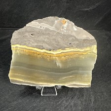 Bumble Bee Jasper Crystal Slab 166 Grams 4” picture