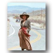 Barbra Streisand Photo 8x10 A Star Is Born 1976 Highway  Color Image picture