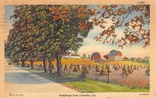 Postcard LA:  Greetings from Crowley, Louisiana Linen Posted 1943 picture