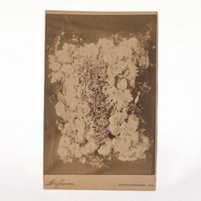 Antique 1900s Post Mortem Funeral Floral Display Photograph Cabinet Card 4X6.5 picture
