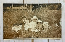 Antique RPPC 4 Children Siblings Posing With 2 Dogs In Tall Grass picture