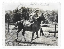 Joyce Goldschmidt Bachner Vintage Signed 5x4 BW Photos 1940s Equestrian Champion picture
